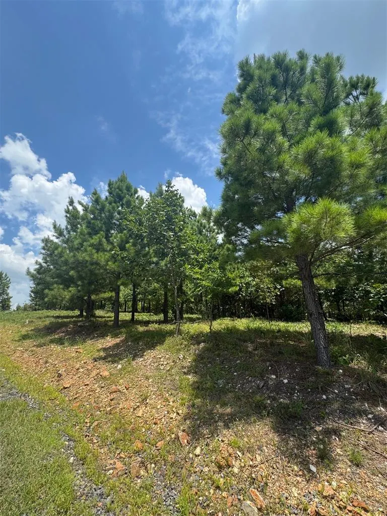 Photo 6 — 20 Charmed Ridge Lane, Broken Bow, OK 74728