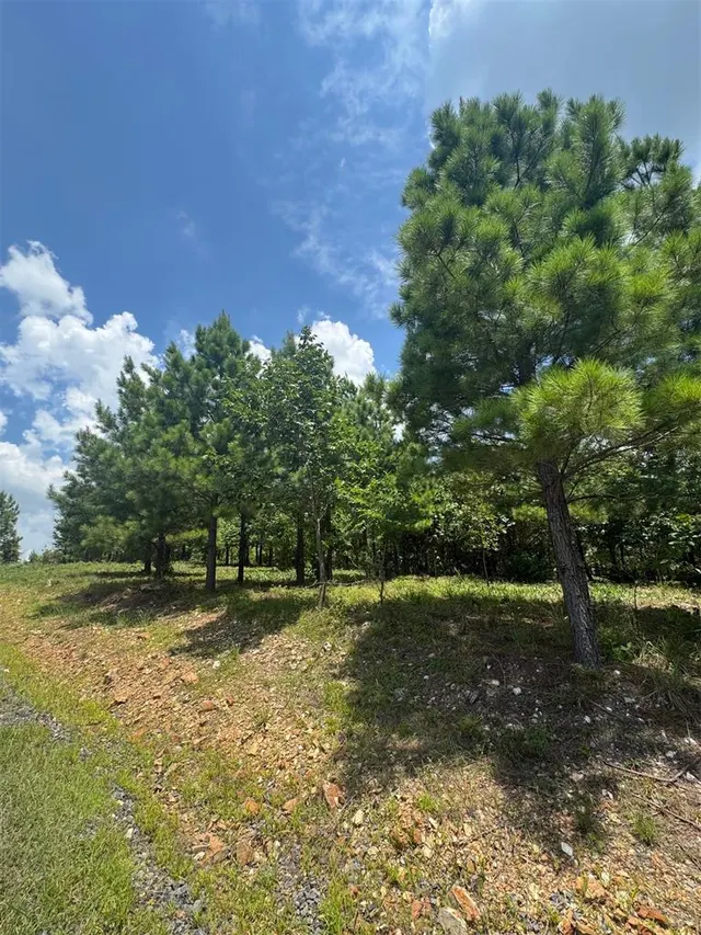 Photo 6 — 20 Charmed Ridge Lane, Broken Bow, OK 74728