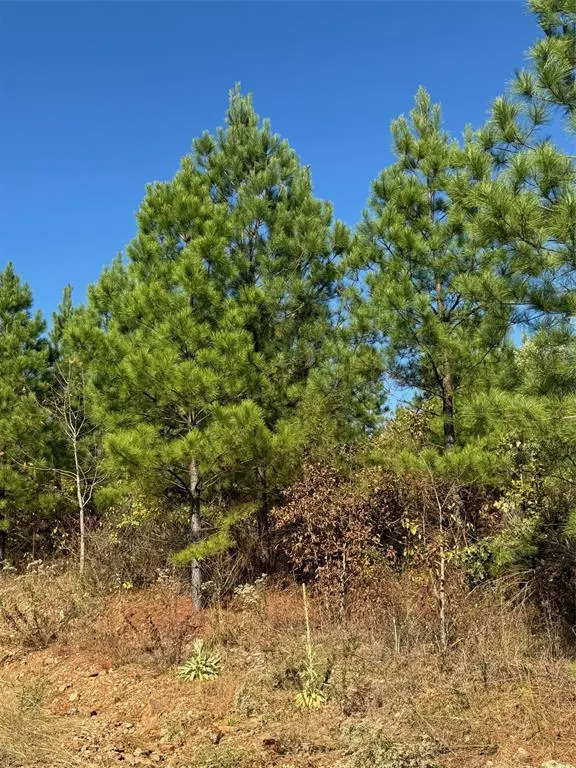 Photo 7 — 20 Charmed Ridge Lane, Broken Bow, OK 74728
