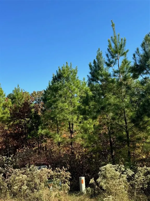 Photo 8 — 20 Charmed Ridge Lane, Broken Bow, OK 74728
