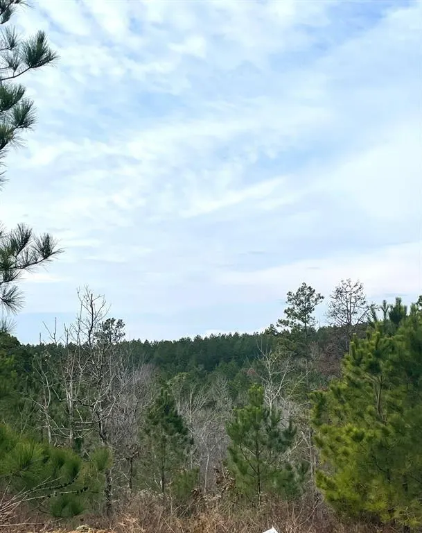 Photo 9 — 20 Charmed Ridge Lane, Broken Bow, OK 74728