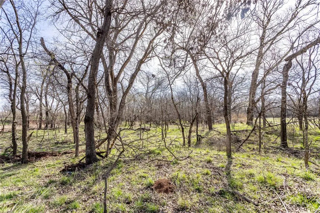 Photo 2 — White Tail Road, Weatherford, OK 73096