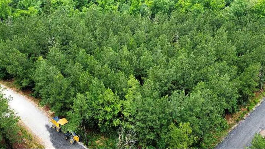 Photo 2 — 25 Mission Fig Trail, Broken Bow, OK 74728