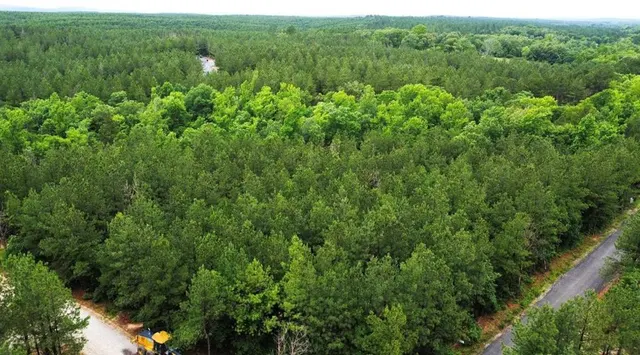 Photo 3 — 25 Mission Fig Trail, Broken Bow, OK 74728