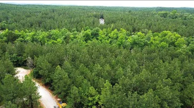 Photo 4 — 25 Mission Fig Trail, Broken Bow, OK 74728