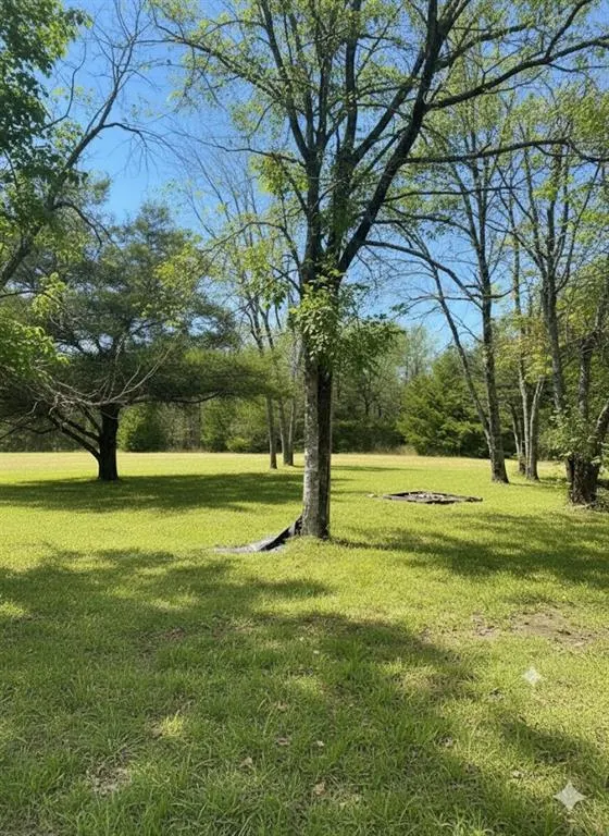 Photo 5 — 798 S Valliant Bypass Road, Valliant, OK 74764