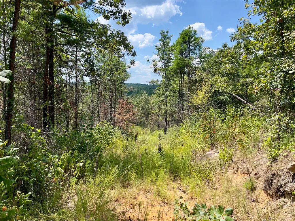 Photo 33 — 40 Zafra Road, Smithville, OK 74957