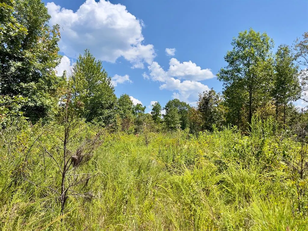 Photo 35 — 40 Zafra Road, Smithville, OK 74957