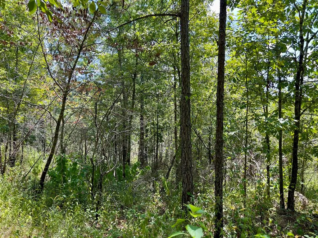 Photo 38 — 40 Zafra Road, Smithville, OK 74957