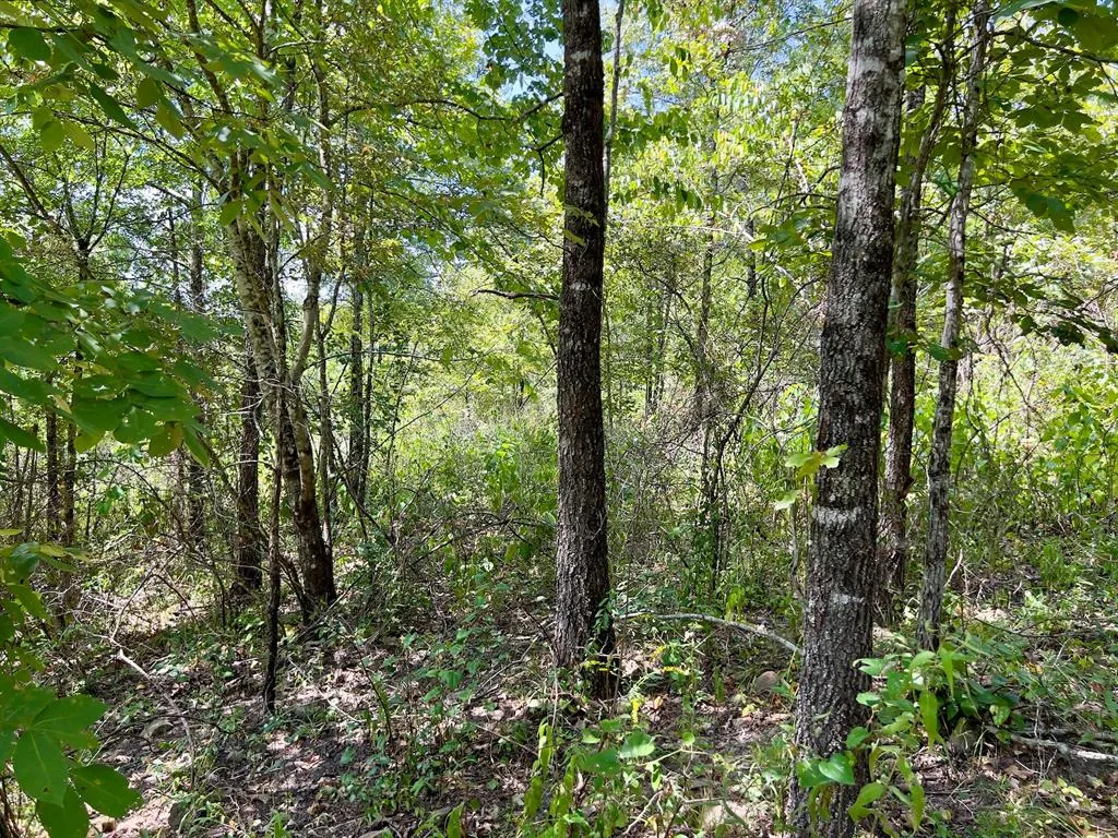 Photo 40 — 40 Zafra Road, Smithville, OK 74957