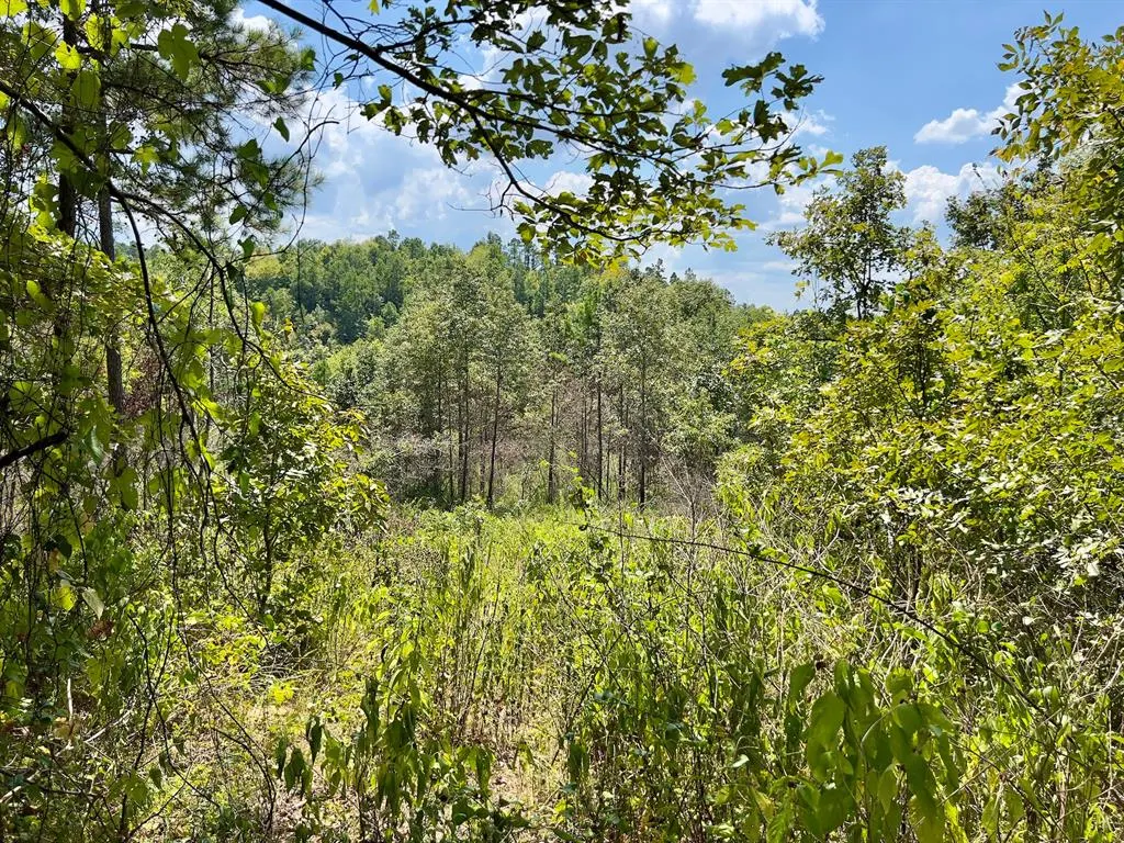 Photo 41 — 40 Zafra Road, Smithville, OK 74957