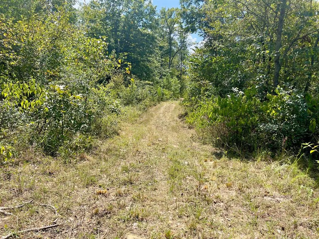 Photo 44 — 40 Zafra Road, Smithville, OK 74957