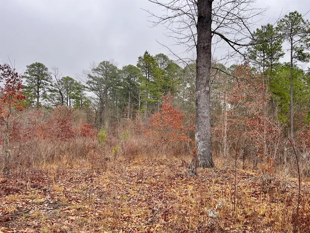 Photo 42 — 40 Zafra Road, Smithville, OK 74957