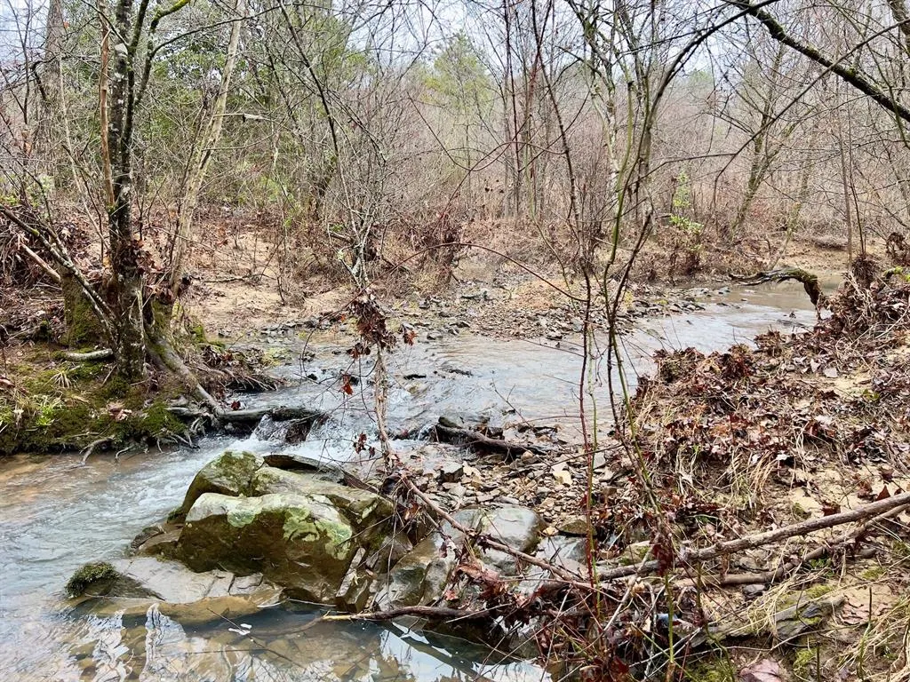 Photo 43 — 40 Zafra Road, Smithville, OK 74957