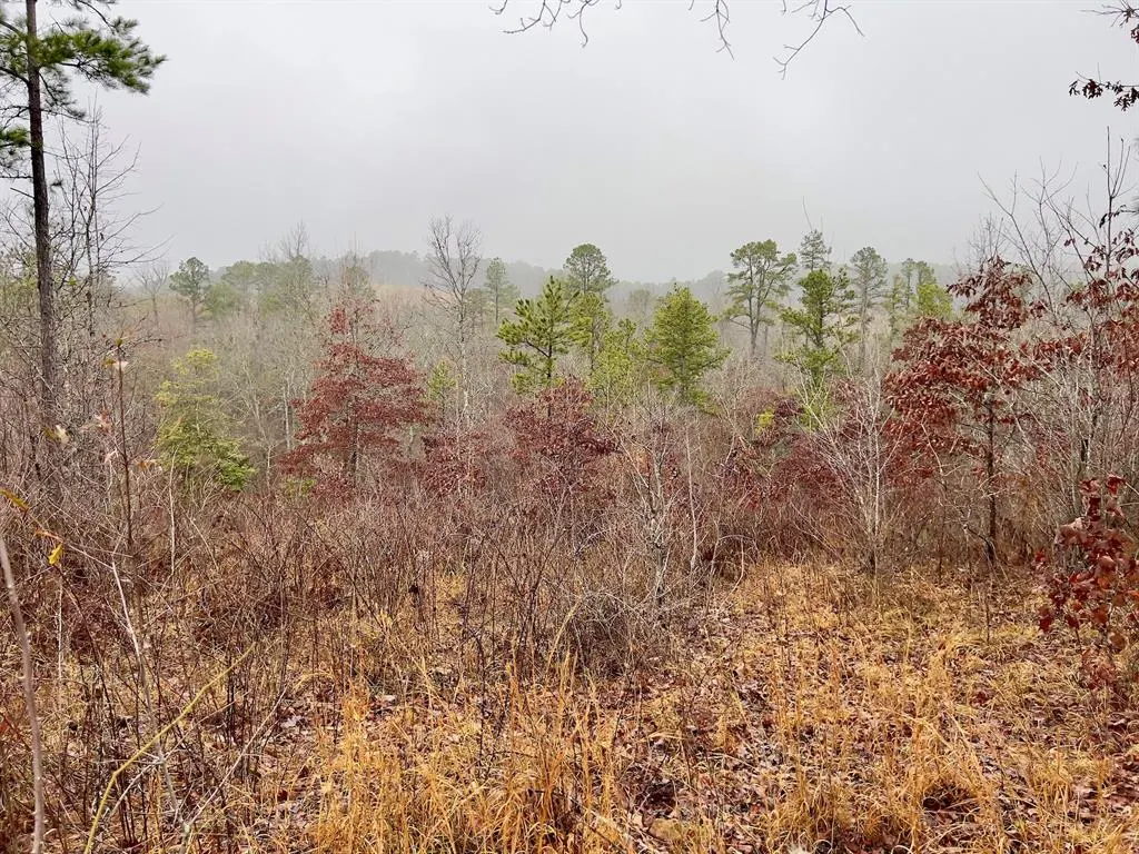 Photo 46 — 40 Zafra Road, Smithville, OK 74957