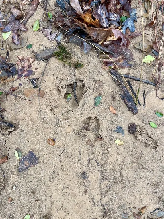 Photo 47 — 40 Zafra Road, Smithville, OK 74957