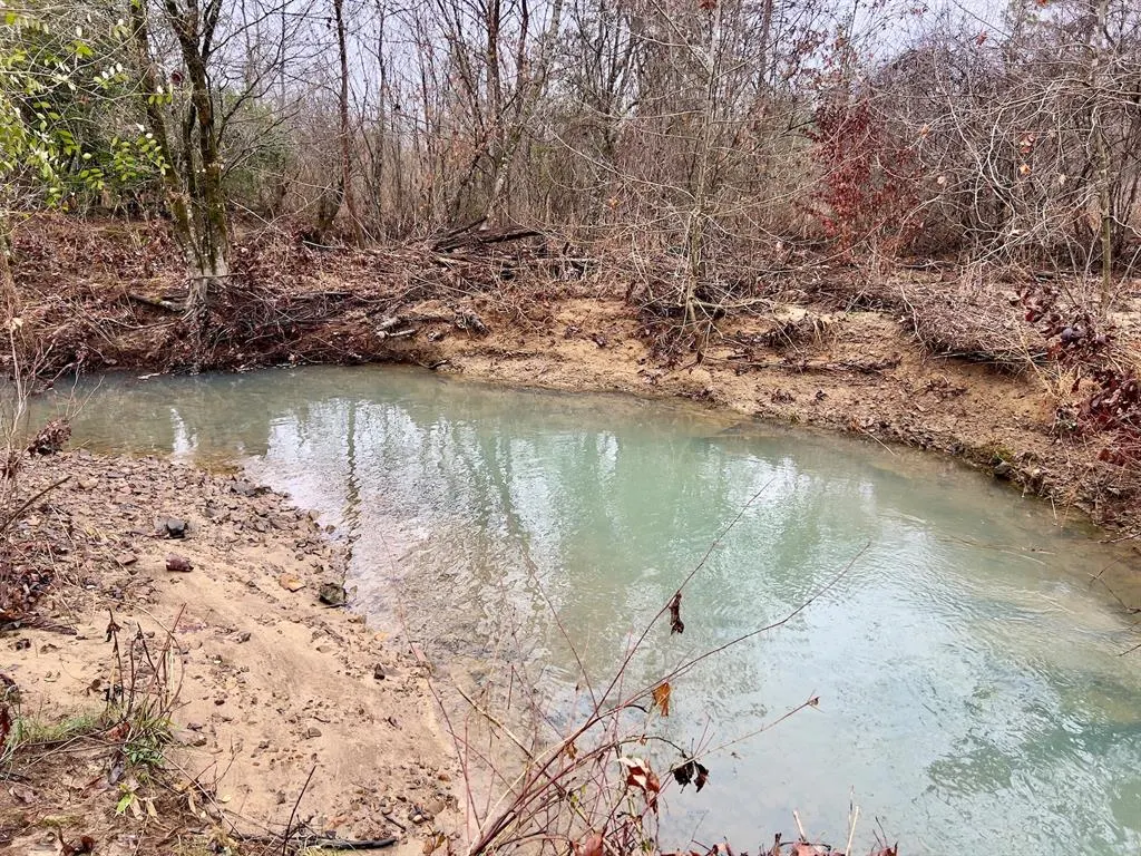 Photo 4 — 40 Zafra Road, Smithville, OK 74957