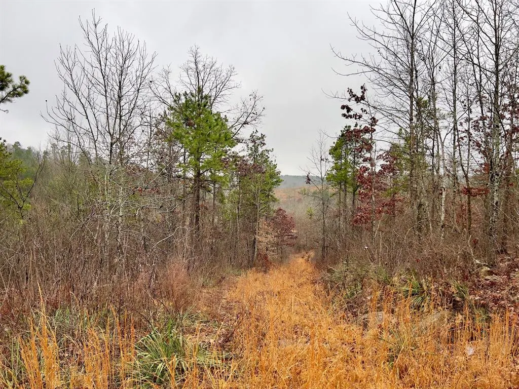Photo 6 — 40 Zafra Road, Smithville, OK 74957