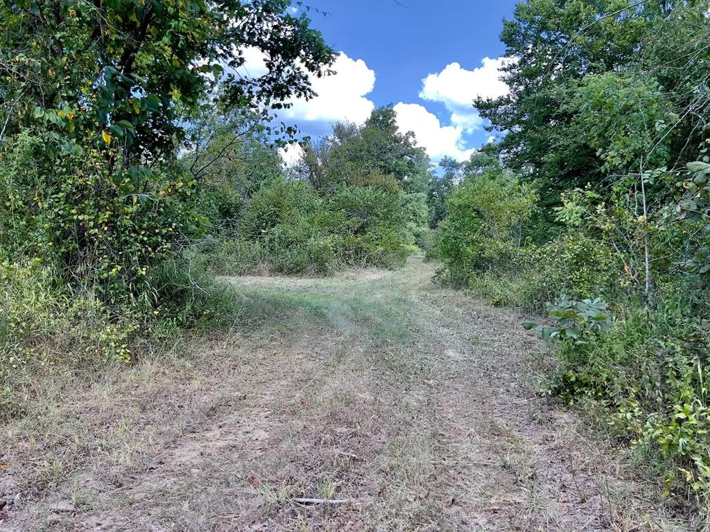 Photo 10 — 40 Zafra Road, Smithville, OK 74957
