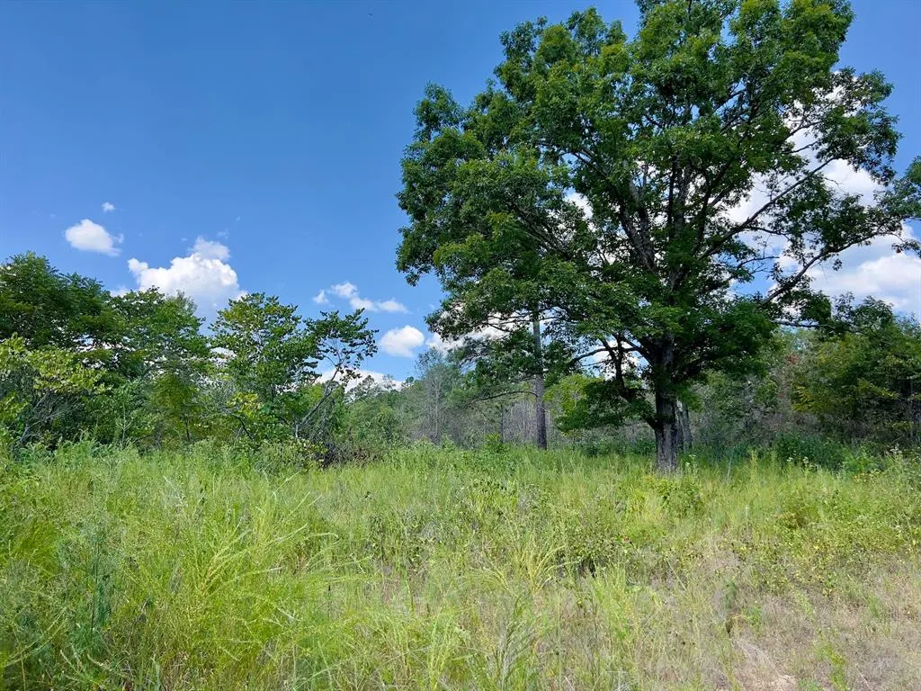 Photo 12 — 40 Zafra Road, Smithville, OK 74957
