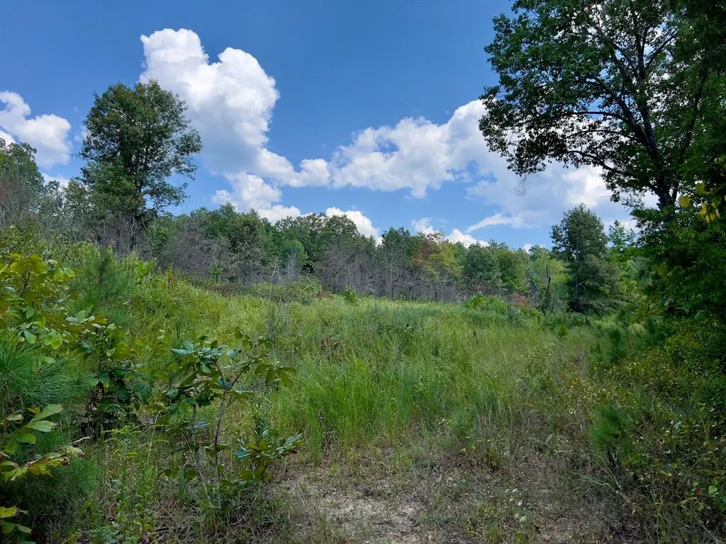 Photo 15 — 40 Zafra Road, Smithville, OK 74957