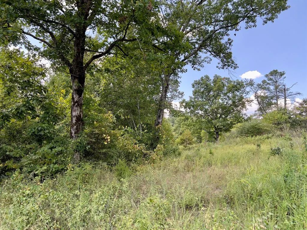 Photo 17 — 40 Zafra Road, Smithville, OK 74957