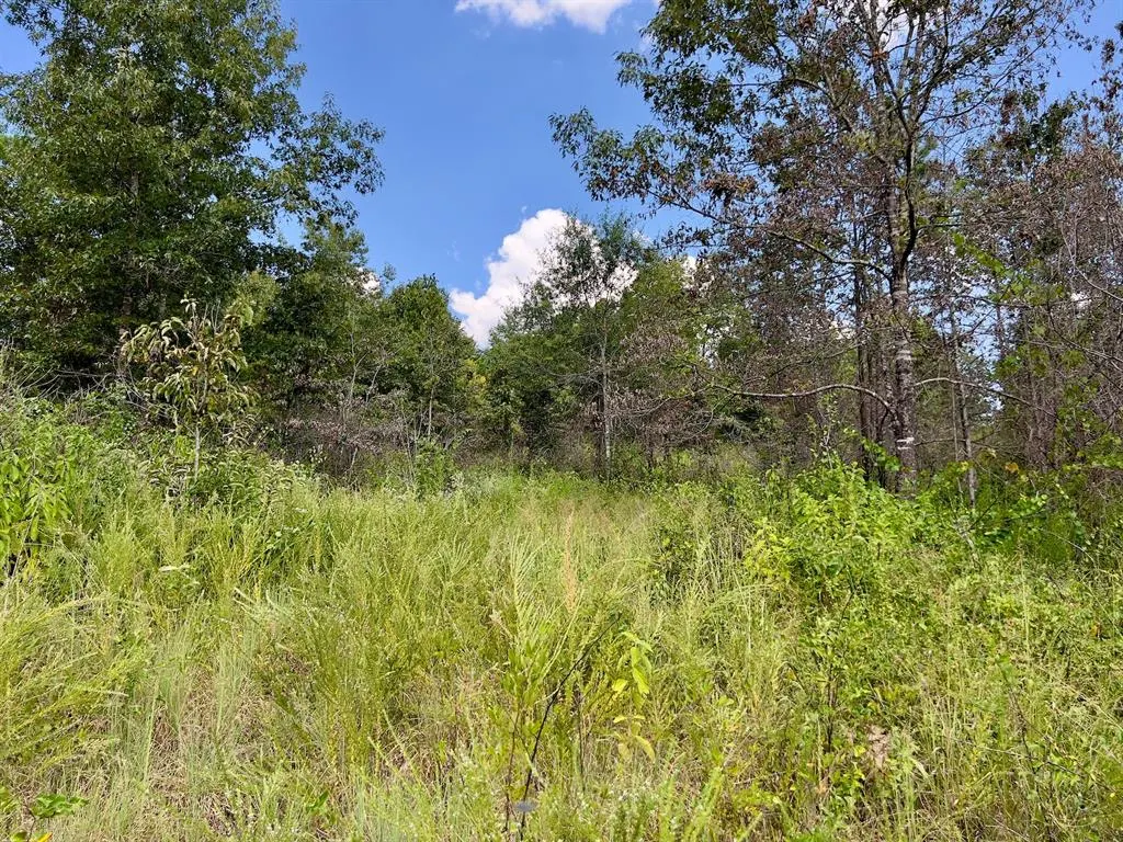 Photo 21 — 40 Zafra Road, Smithville, OK 74957