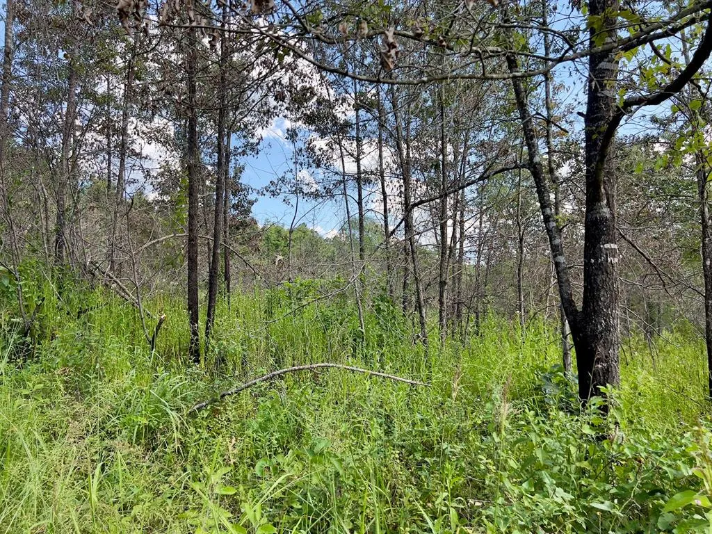 Photo 23 — 40 Zafra Road, Smithville, OK 74957