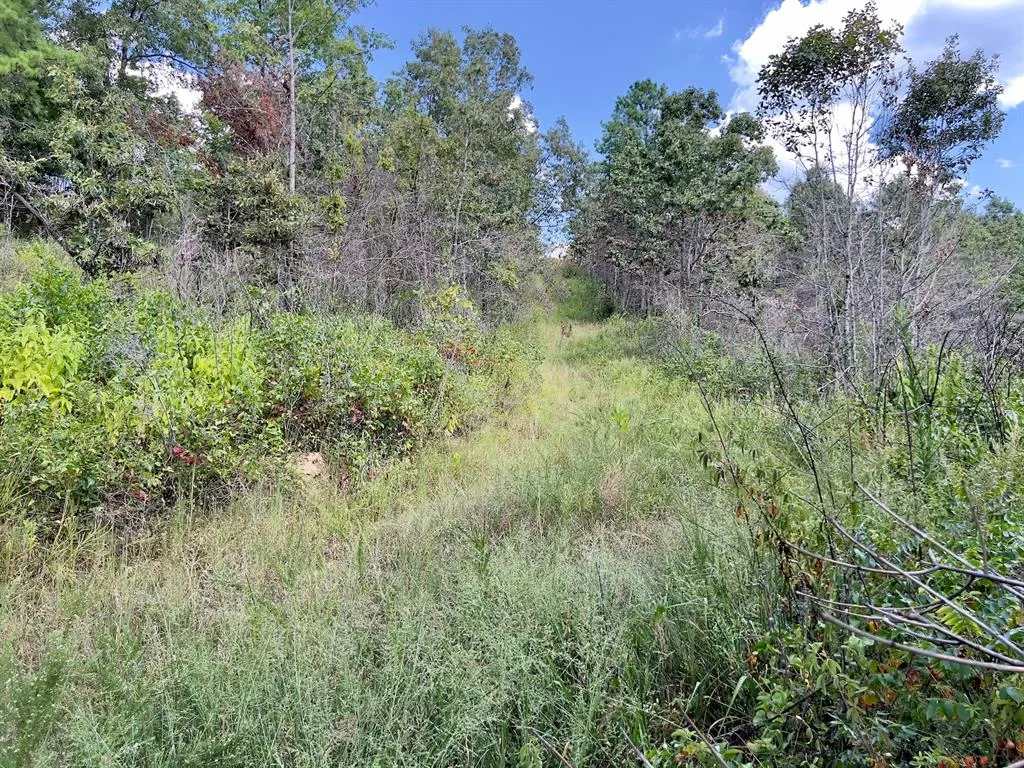 Photo 26 — 40 Zafra Road, Smithville, OK 74957