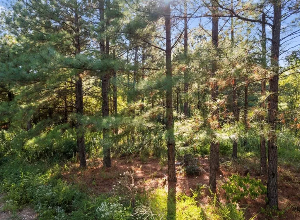 Photo 7 — 134 Creekside Trail, Broken Bow, OK 74728