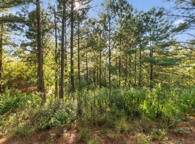 Photo 8 — 134 Creekside Trail, Broken Bow, OK 74728