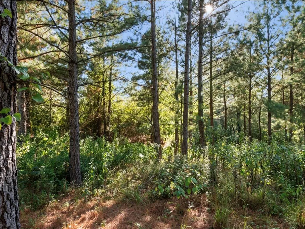 Photo 9 — 134 Creekside Trail, Broken Bow, OK 74728
