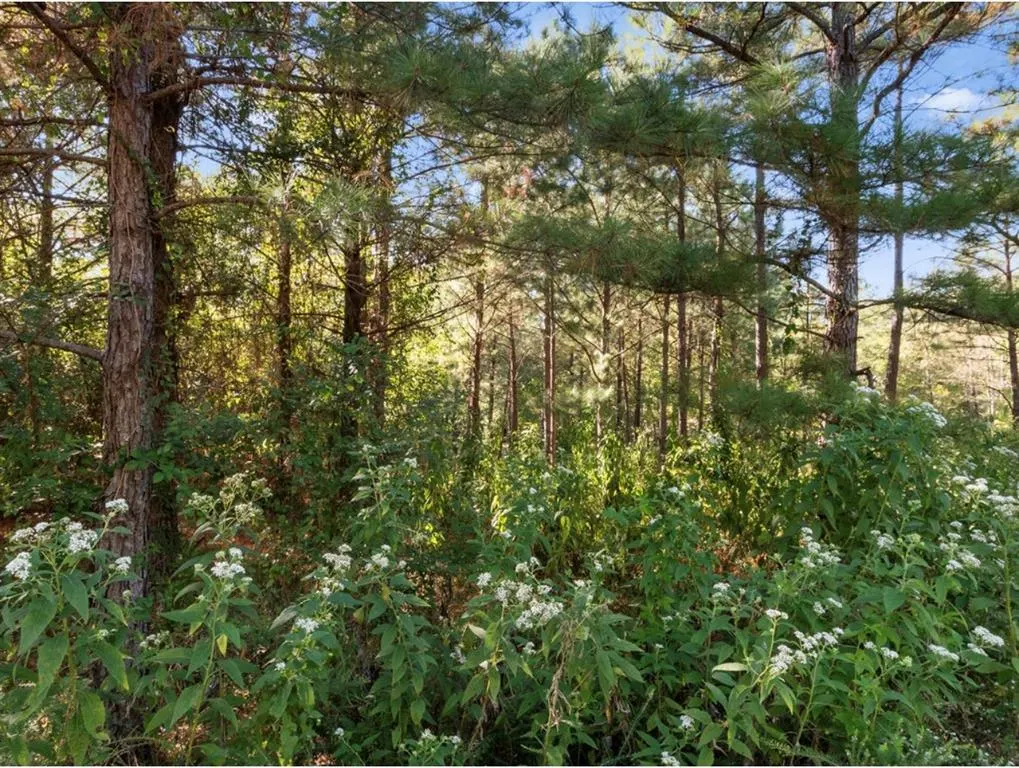 Photo 10 — 134 Creekside Trail, Broken Bow, OK 74728