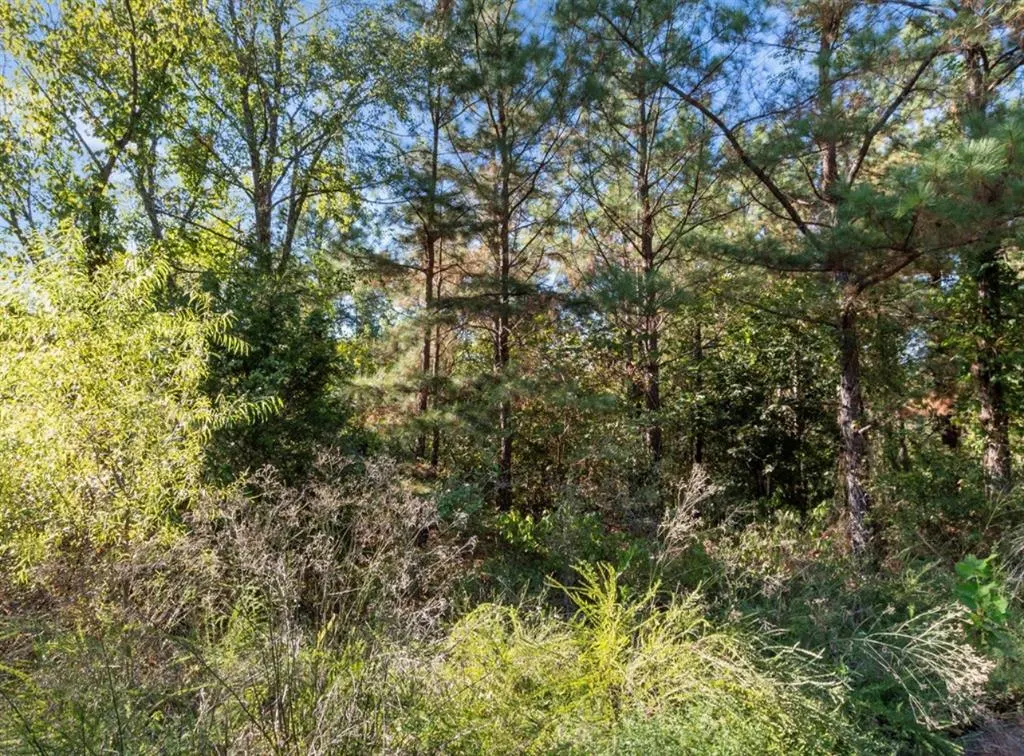 Photo 11 — 134 Creekside Trail, Broken Bow, OK 74728