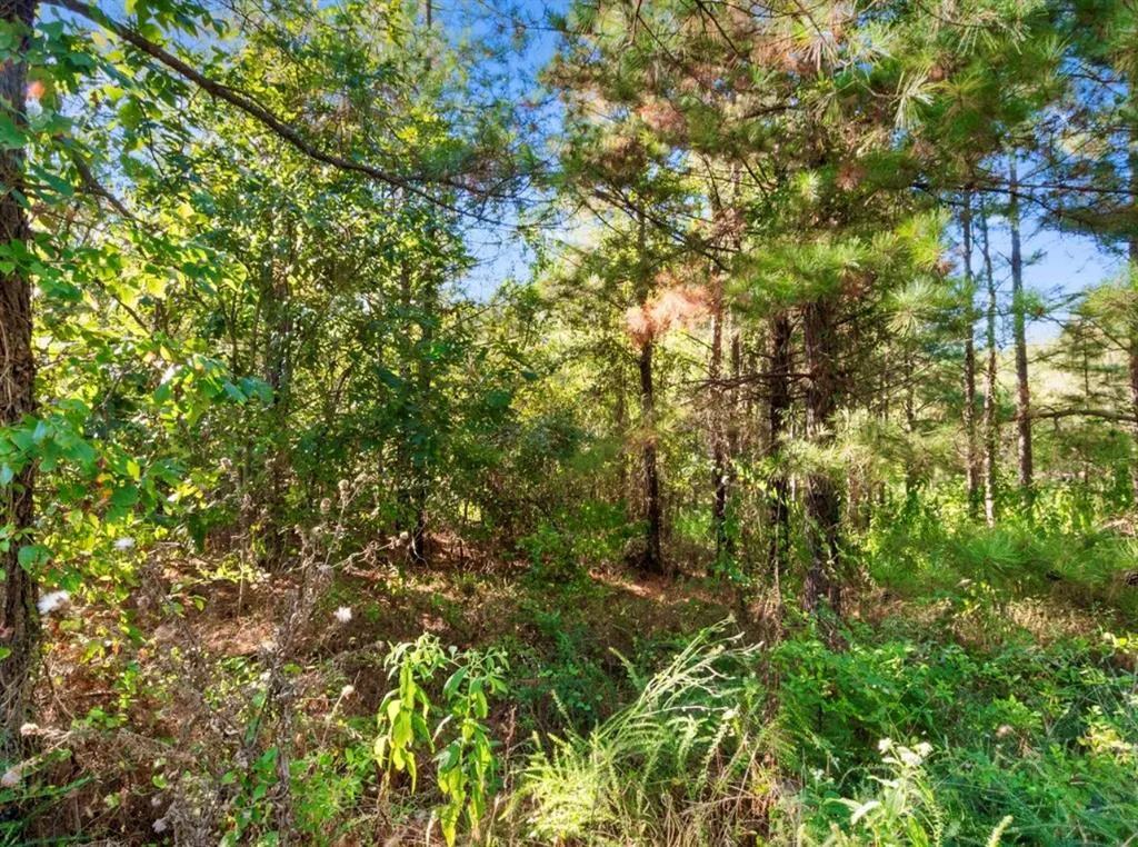 Photo 12 — 134 Creekside Trail, Broken Bow, OK 74728