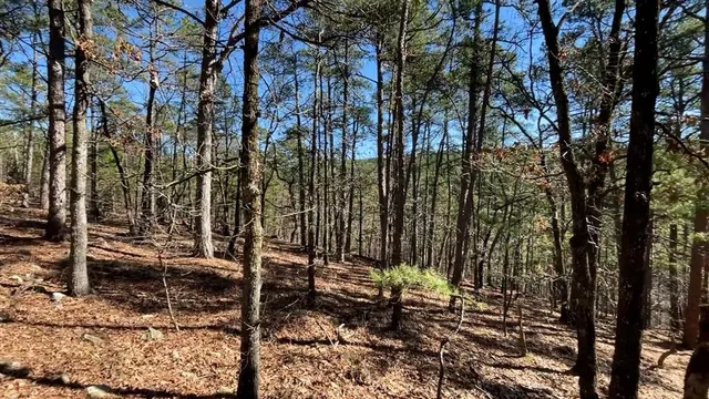 Photo 3 — 964 Timberline Trail, Broken Bow, OK 74728
