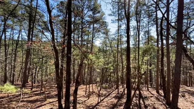 Photo 4 — 964 Timberline Trail, Broken Bow, OK 74728