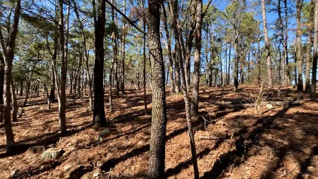 Photo 2 — 986 Timberline Trail, Broken Bow, OK 74728