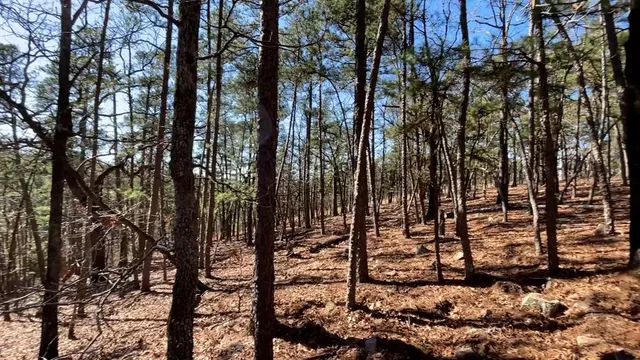 Photo 3 — 986 Timberline Trail, Broken Bow, OK 74728