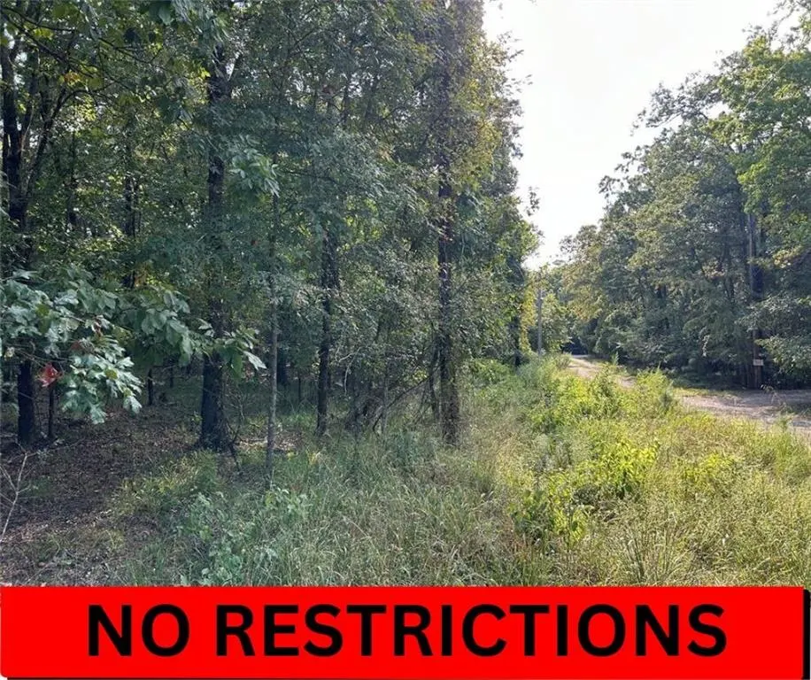 Photo 3 — Alexis Lane, Broken Bow, OK 74728