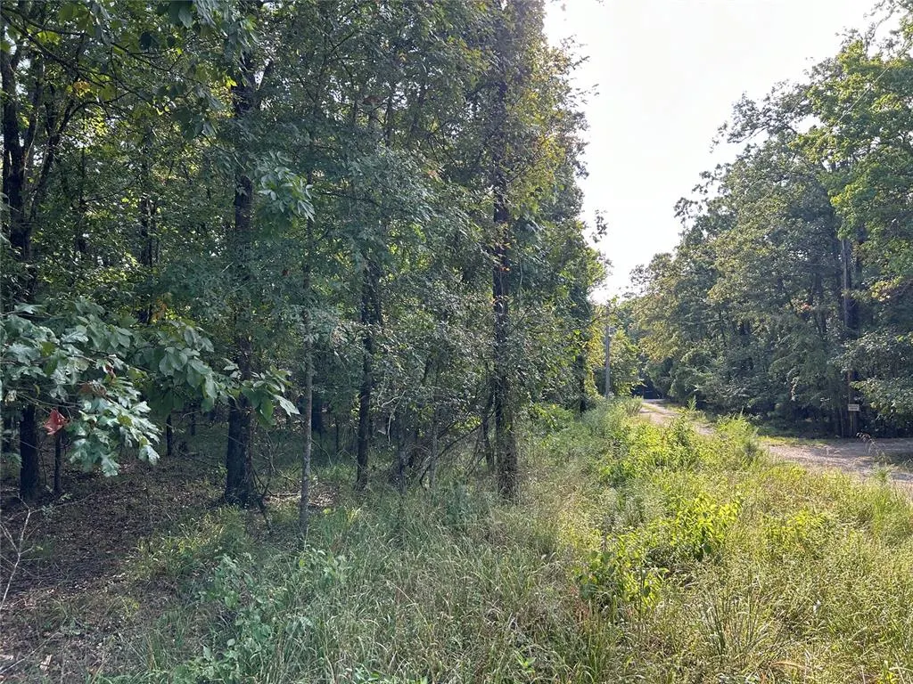 Photo 4 — Alexis Lane, Broken Bow, OK 74728