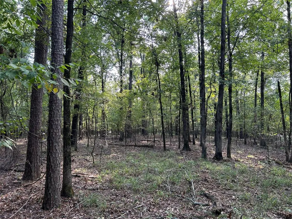 Photo 5 — Alexis Lane, Broken Bow, OK 74728