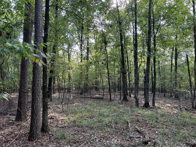 Photo 5 — Alexis Lane, Broken Bow, OK 74728