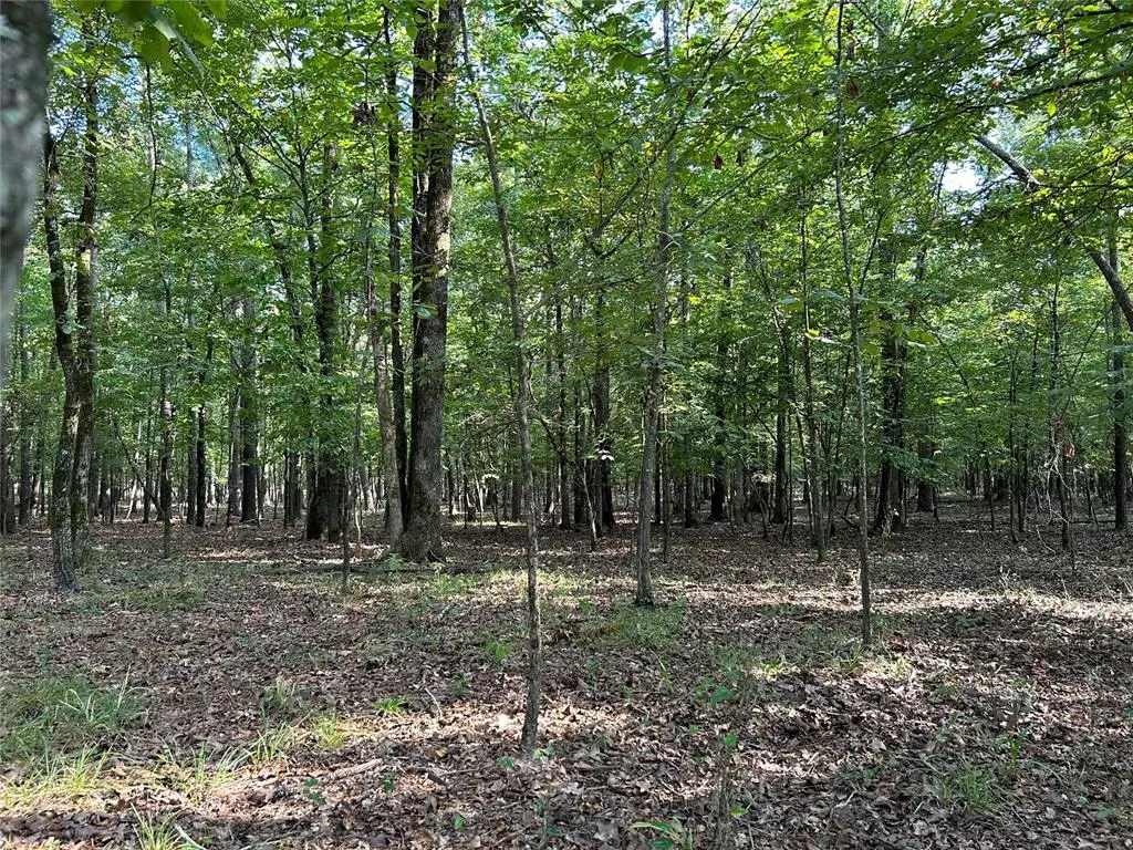 Photo 6 — Alexis Lane, Broken Bow, OK 74728