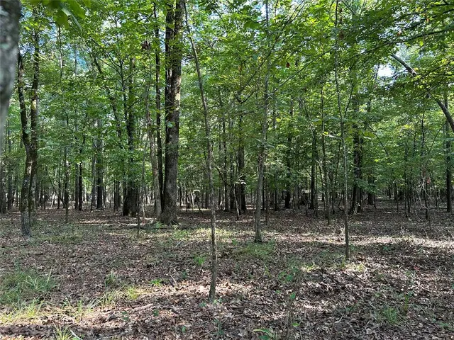 Photo 6 — Alexis Lane, Broken Bow, OK 74728