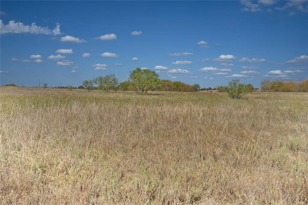 Photo 15 — 7 Freeny Valley Road, Caddo, OK 74729