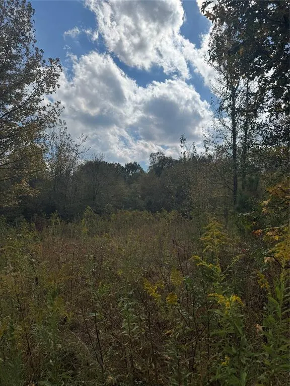 Photo 6 — 315 Rosebud Road, Broken Bow, OK 74728