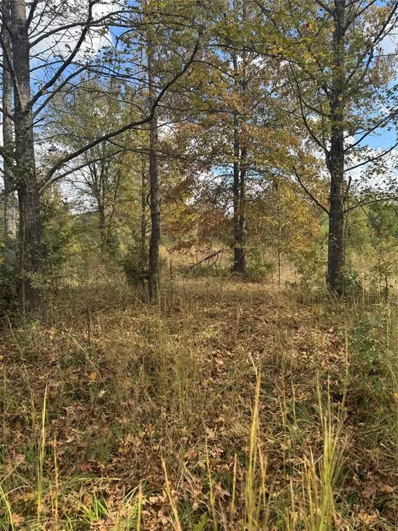 Photo 3 — 315 Rosebud Road, Broken Bow, OK 74728