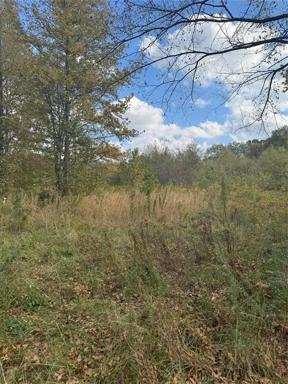 Photo 4 — 315 Rosebud Road, Broken Bow, OK 74728
