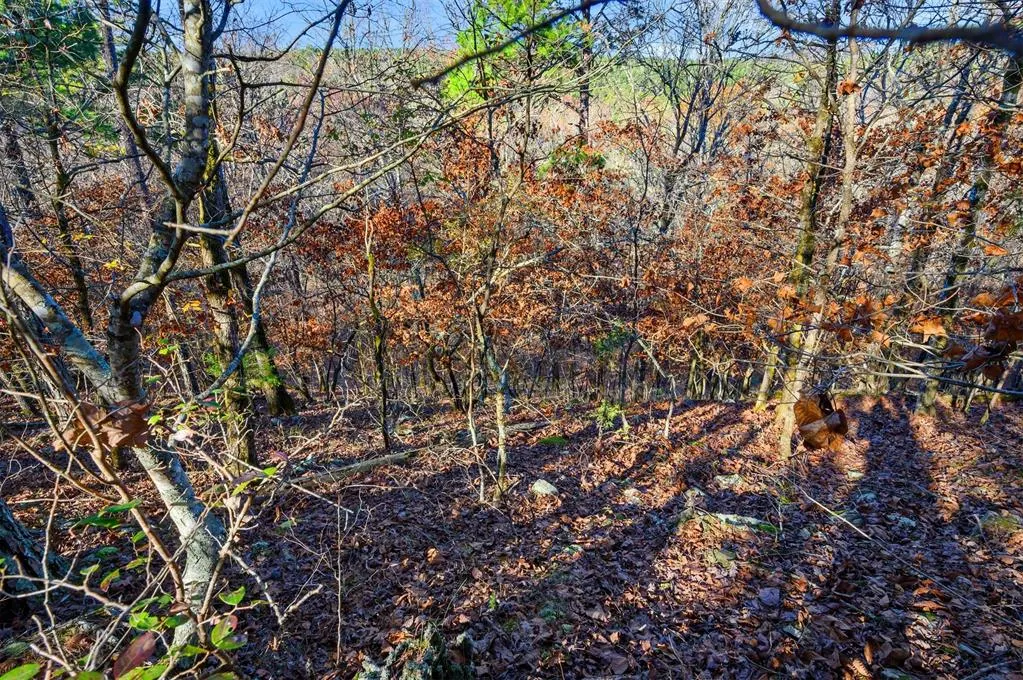 Photo 20 — 6837 Sherwood Road, Broken Bow, OK 74728
